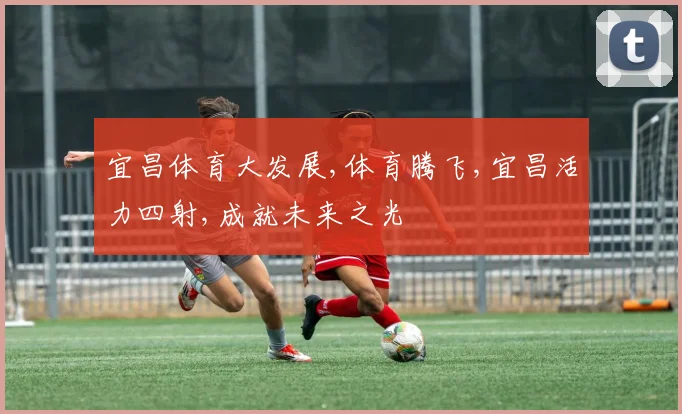 宜昌体育大发展,体育腾飞,宜昌活力四射,成就未来之光