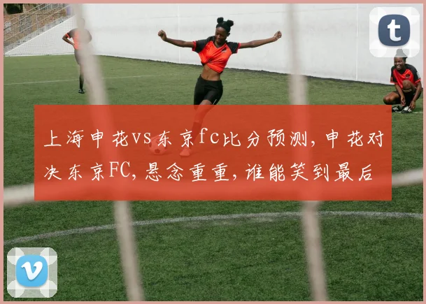 上海申花vs东京fc比分预测,申花对决东京FC,悬念重重,谁能笑到最后